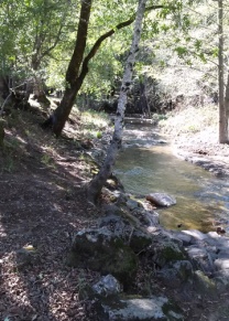 Sugarloaf Sonoma Creek