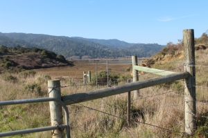 View to Tomales Bay
